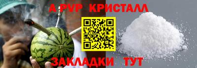 шишки Берёзовский